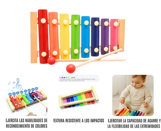 Xilófono Didáctico de Sonidos De Estimulación  Infantil
