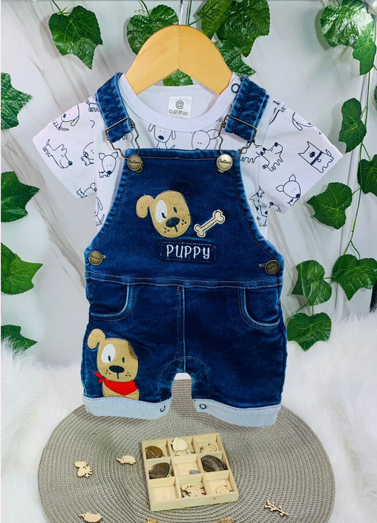 Braga Perrito Con Camisa Blanca